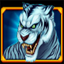 The Ancient Four Symbol Tiger